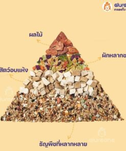 อาหารแฮมสเตอร์ yee