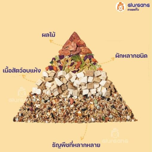 อาหารแฮมสเตอร์ yee