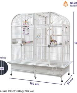 ขนาดกรงคู่ ขนาดใหญ่พิเศษ
