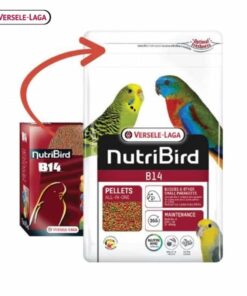 NutriBird B14 800g นกหงษ์หยก,พาราคีทขนาดเล็ก เลิฟเบิร์ด แพรอทขนาดเล็ก สำหรับนกพ่อ แม่พันธ์ุนกผลัดขน