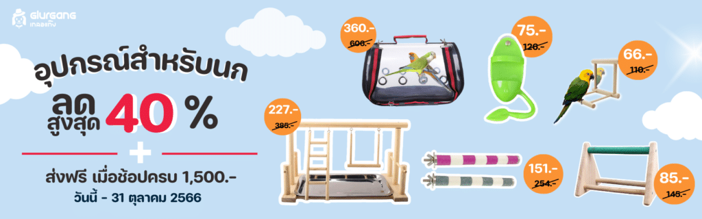 โปรโมชั่นเดือน ตุลาคม 2566