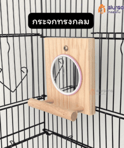 กระจกทรงกลม สำหรับนกแก้ว ของเล่นสำหรับนก  ติดตั้งง่าย