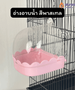 อ่างอาบน้ำ สีพาสเทล ของเล่นนกแก้ว ห้องน้ำนก