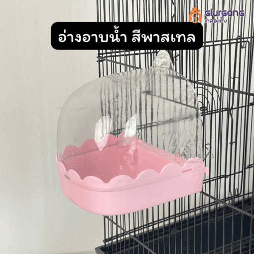 อ่างอาบน้ำ สีพาสเทล ของเล่นนกแก้ว ห้องน้ำนก
