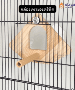 กล่องเพาะอะคริลิค อุปกรณ์สำหรับสัตว์เลี้ยง นกแก้ว