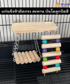 แท่นชิงช้าติดกรง สะพาน บันไดลูกปัดสี ของเล่นสำหรับนก
