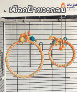 ชิงช้า เชือกฝ้ายวงกลม สำหรับนกแก้ว วัสดุคุณภาพดี