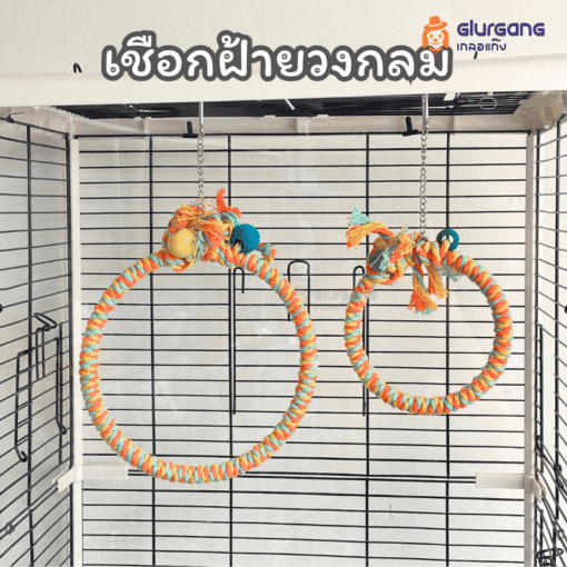 ชิงช้า เชือกฝ้ายวงกลม สำหรับนกแก้ว วัสดุคุณภาพดี